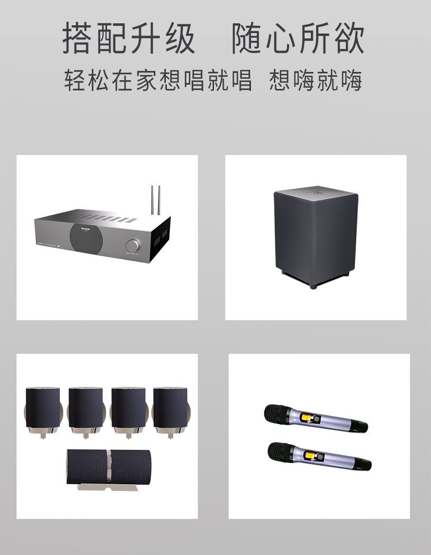 英嘉尼臻爱畅销套餐5.1客厅影K影院音响系统